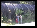Click to see big picture (640x480 pixels; 120KB ave)