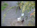 Click to see big picture (640x480 pixels; 120KB ave)