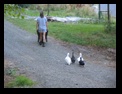 Click to see big picture (640x480 pixels; 120KB ave)