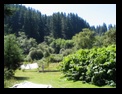 Click to see big picture (640x480 pixels; 120KB ave)