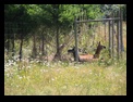 Click to see big picture (640x480 pixels; 120KB ave)