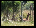 Click to see big picture (640x480 pixels; 120KB ave)
