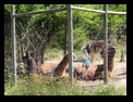 Click to see big picture (640x480 pixels; 120KB ave)