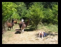 Click to see big picture (640x480 pixels; 120KB ave)