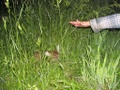 Click to see big picture (640x480 pixels; 120KB ave)