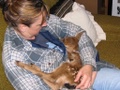Click to see big picture (640x480 pixels; 120KB ave)