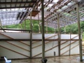 Click to see big picture (640x480 pixels; 120KB ave)