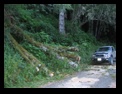Click to see big picture (640x480 pixels; 120KB ave)