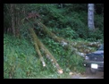 Click to see big picture (640x480 pixels; 120KB ave)