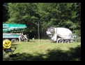 Click to see big picture (640x480 pixels; 120KB ave)