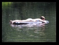 Click to see big picture (640x480 pixels; 120KB ave)