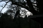 Click to see big picture (640x480 pixels; 120KB ave)